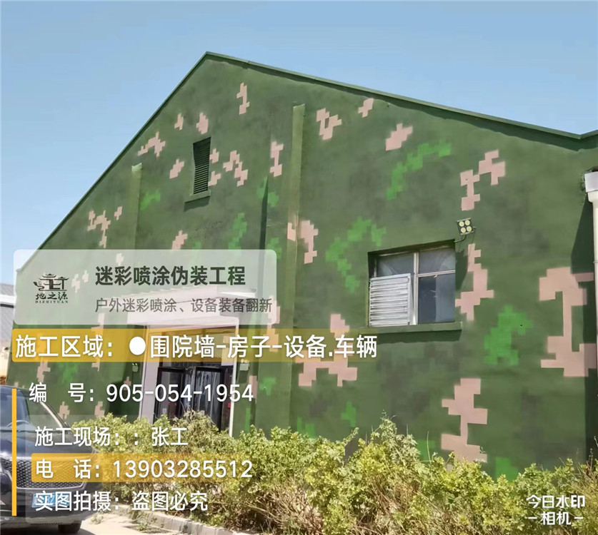 阿里外墙数码迷彩漆施工报价清单（100㎡标准墙面测算）